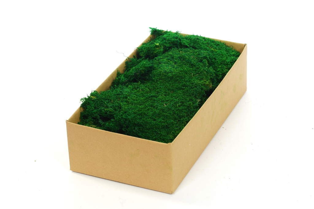Premium Preserved Alpine Flat Moss Dark Green 200g Box